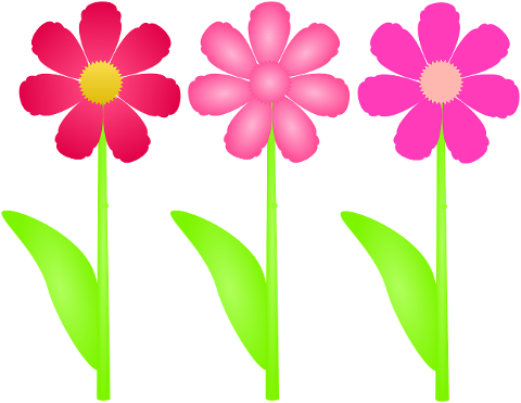 flowers-spring-nature-plant-design-7120626