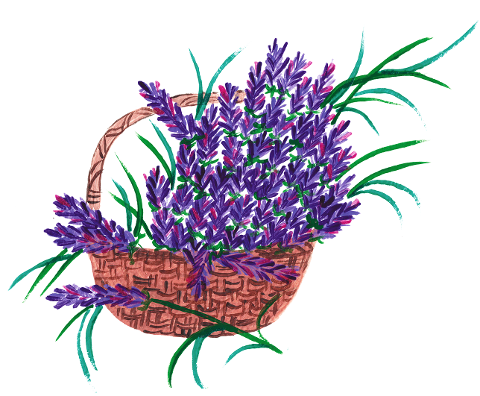 lavender-lavender-basket-watercolor-7677119