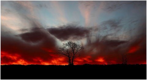 sunset-clouds-tree-nature-4793060