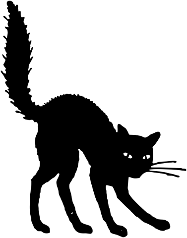 silhouette-cat-halloween-black-cat-5644257