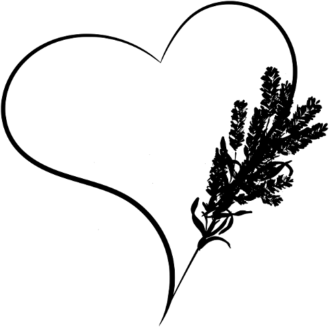 heart-lavender-herbs-love-7679067