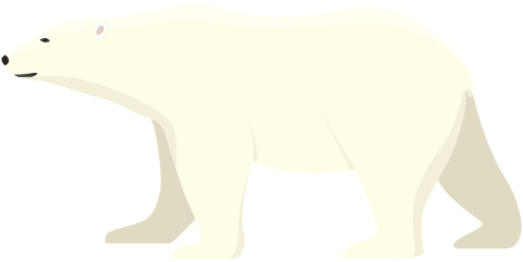 polar-bear-mammal-animal-nature-9413469
