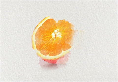 orange-fruit-watercolor-food-half-6219723