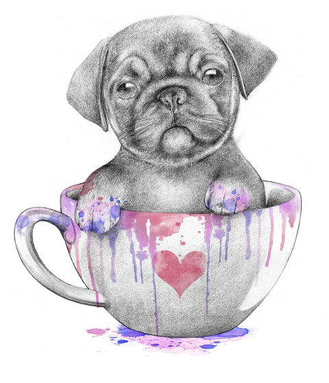 dog-puppy-pug-cup-mug-cute-6262119