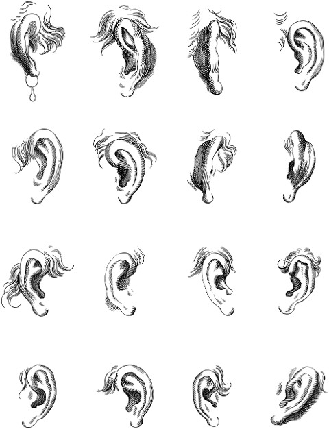 ears-hearing-sound-line-art-7226443