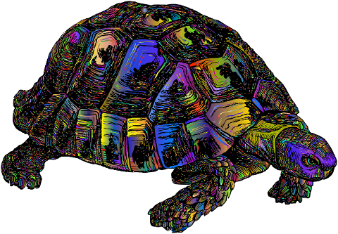 tortoise-animal-colorful-turtle-6393250