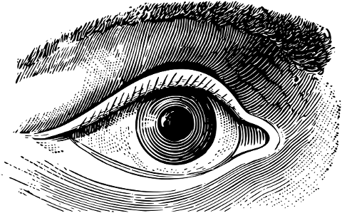 eye-seeing-vision-line-art-vintage-7258842