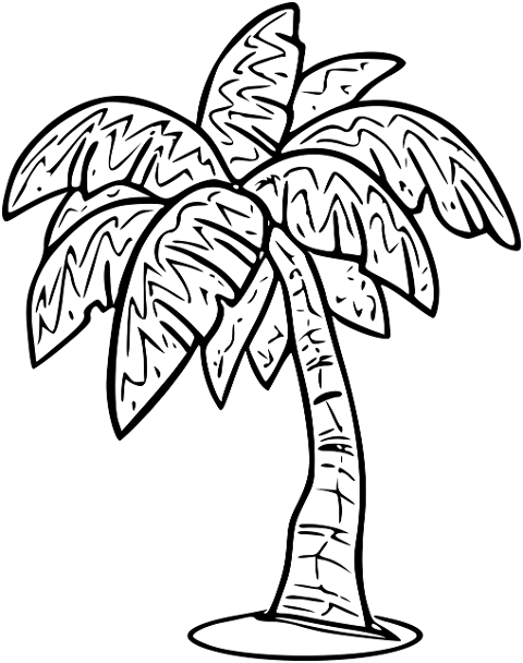tree-palm-tree-tropical-tree-6857420