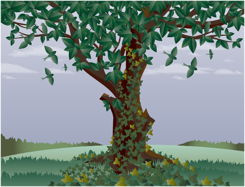 tree-old-tree-birds-landscape-ivy-6202701