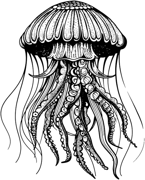 ai-generated-jellyfish-animal-8860737