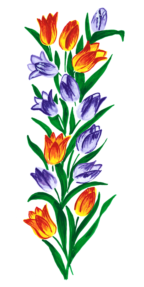 tulip-tulips-spring-easter-whip-6068346