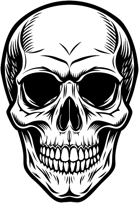 ai-generated-skull-skeleton-bones-8984200