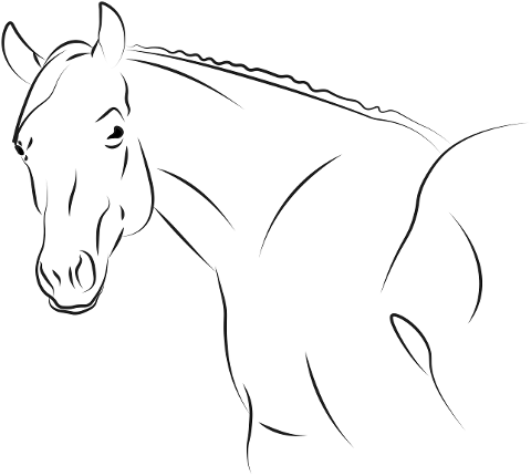 horse-animal-drawing-line-art-6925406