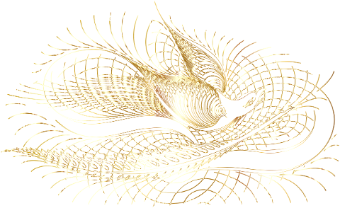 bird-animal-line-art-flourish-7219160