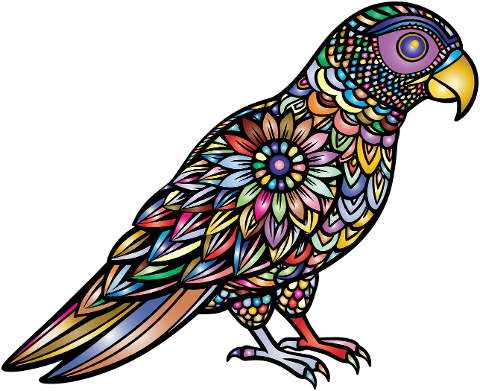 parrot-bird-animal-ornithology-8846867