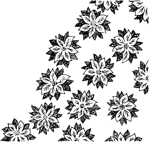 poinsettia-christmas-drawing-6822001