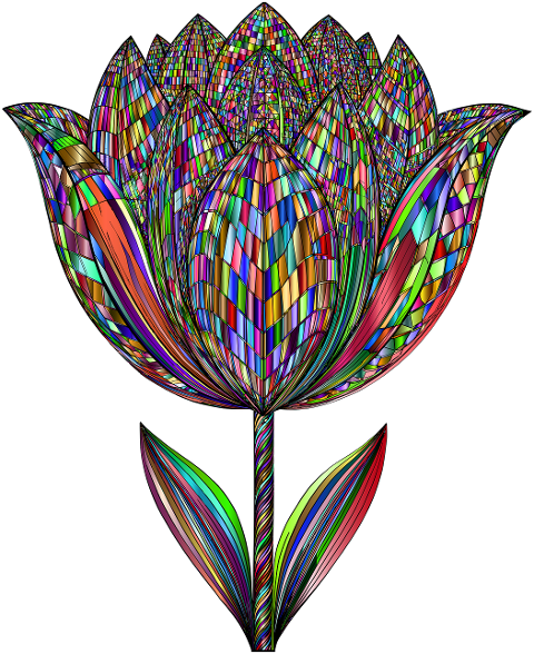 tulip-flower-plant-nature-9604578