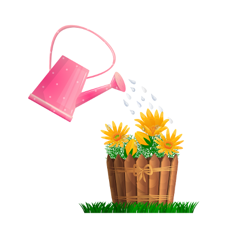 flower-bed-watering-can-flowers-7168383