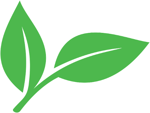 green-leaf-plant-nature-spring-9850198