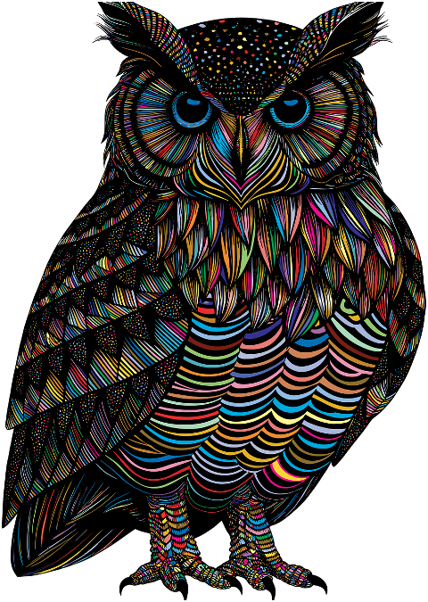 owl-bird-animal-ornithology-nature-8746688