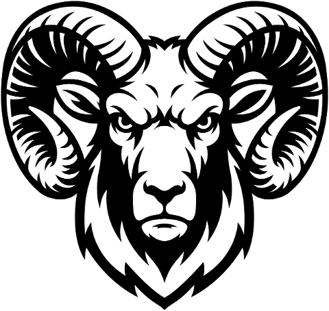 mountain-sheep-wild-sheep-sheep-10030452