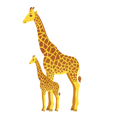 giraffes-animals-wildlife-6046639