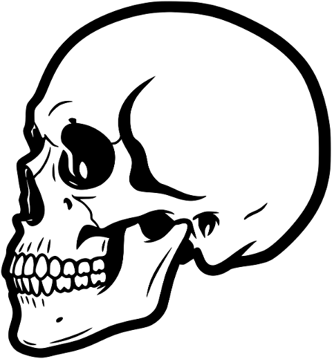 skull-human-skull-skeleton-bone-10013874