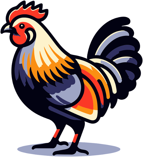 chicken-rooster-bird-bantam-male-8571069