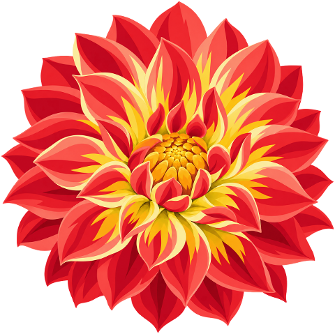 dahlia-red-flower-yellow-flower-10499544
