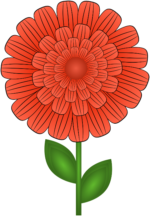 flower-orange-flower-flora-cut-off-7337249