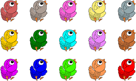 birds-chickens-color-bird-color-6907318
