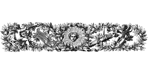 divider-floral-line-art-separator-7234439