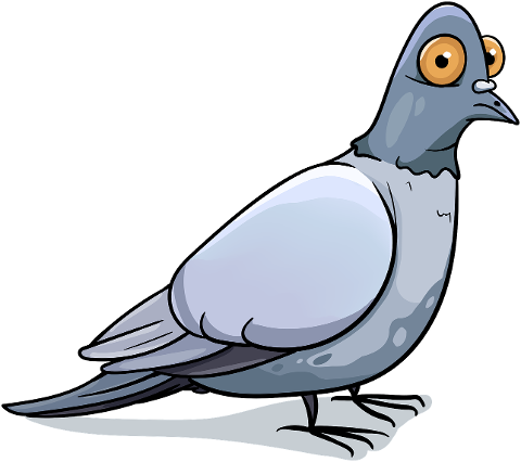 pigeon-bird-feathered-gray-winged-7872382
