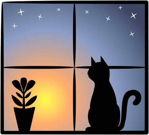 cat-night-window-silhouette-sunset-6771819