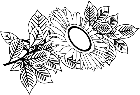 sunflower-flower-leaves-line-art-7062058