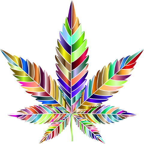 marijuana-leaf-drugs-leaves-6064007
