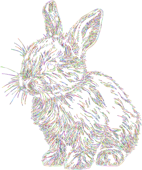 bunny-rabbit-animal-line-art-pet-8599107