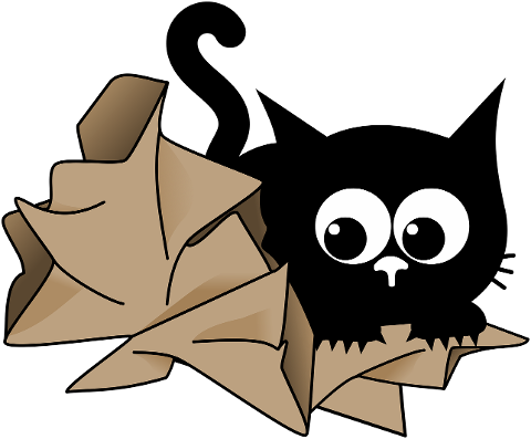 cat-kitten-black-cat-crumpled-paper-8692925