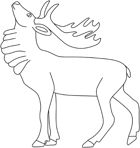 animal-deer-wild-nature-fur-10526380