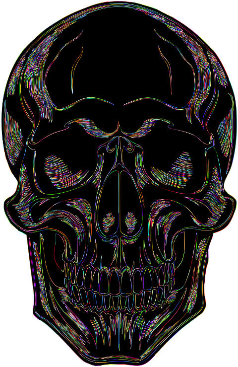 skull-head-skeleton-bones-8351247