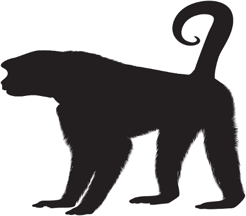 monkey-primate-clip-art-cutout-7117181