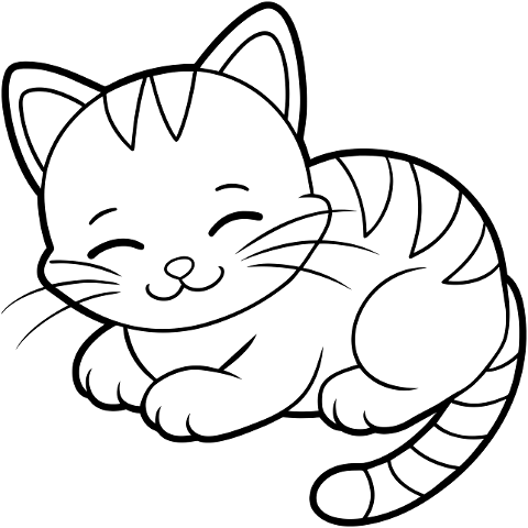 cat-animal-sleeping-cute-feline-9059890