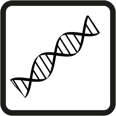 dna-biology-icon-dna-strand-5994798