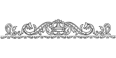 divider-flourish-line-art-separator-7551944