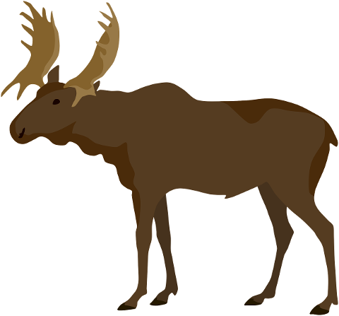 moose-deer-flat-design-animals-7405609