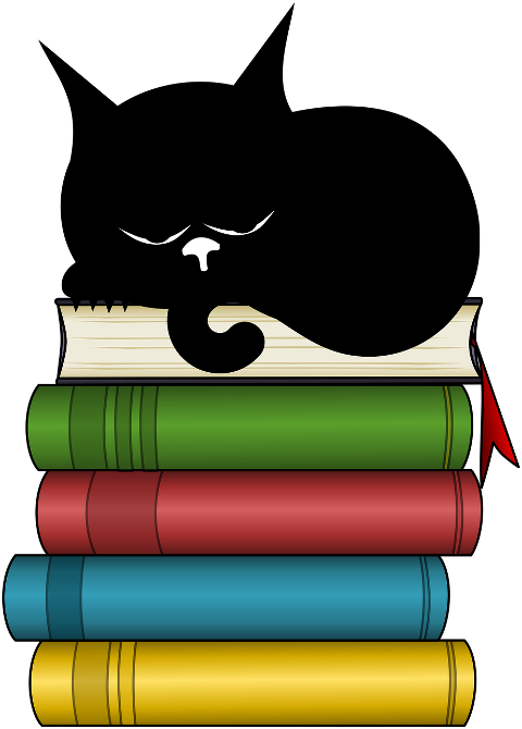 cat-kitten-black-cat-books-feline-8682230