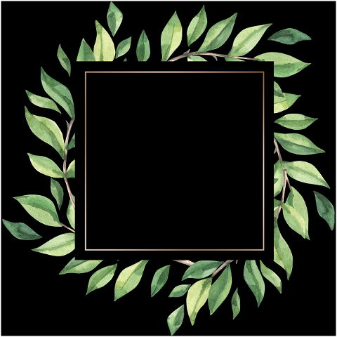 frame-border-decorative-frame-6552476