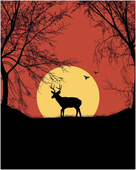 sunset-sunrise-deer-silhouette-sun-6313171