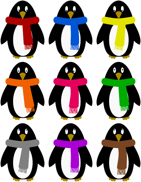 penguin-bird-emperor-penguin-9224524