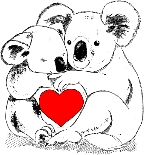 koala-hug-love-heart-koala-bears-7016707